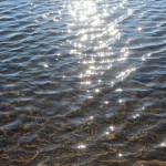 田貫湖の水は澄んでて綺麗。